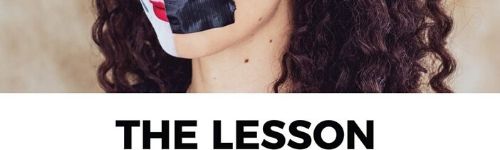 TheLessonbanner